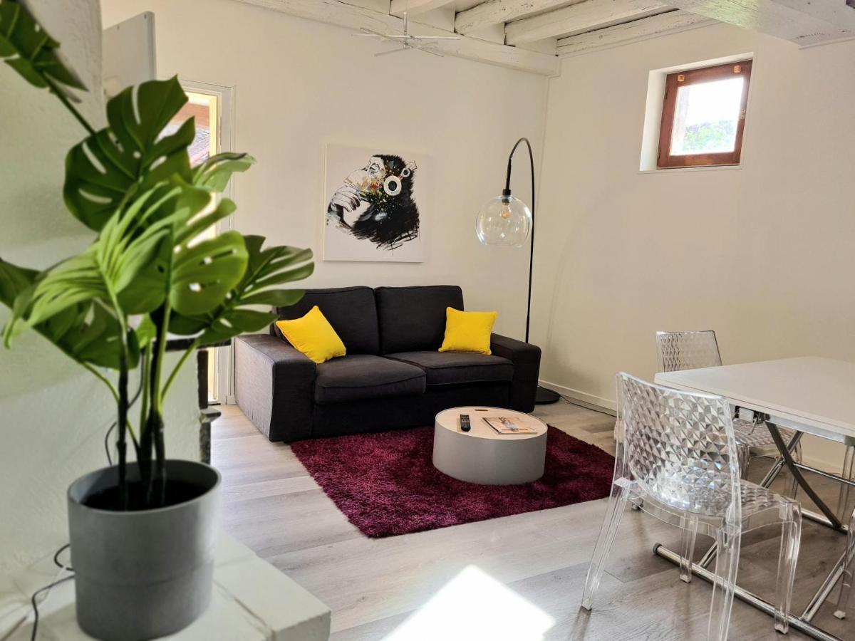 Maison Charme avec Terrasse hypercentre, très calme Joigny Esterno foto